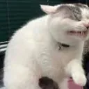 ytvxrtm7958