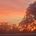 avatar MOVING ACCOUNTS