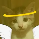 clumsydino avatar