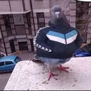 piotxd