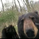 Аватар v1zerzwer