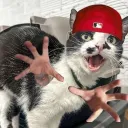 sr_sono