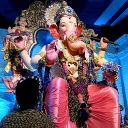 shyamrajani