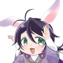 hal.usagi_5