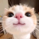 .santxna.'s Avatar