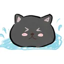 hongchen0212