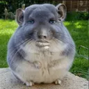 fisiologico