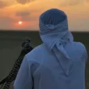 zifaw.