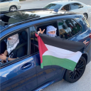 avatar telegram in bio