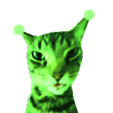 avatar 𝔅𝔢𝔩𝔩𝔞