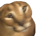 zhaar