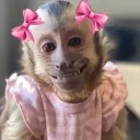 leilani046277 avatar