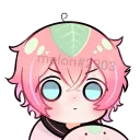 ´͈ᵕ`͈ ꒰ 𝗞𝘂𝗶 ꒱ ˚₊‧