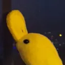 shw00p