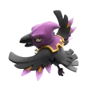 night.raven404