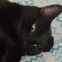 sinny_zzz