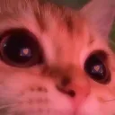 ricexgodd