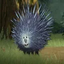 zenniin