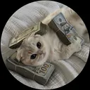 sundior0