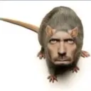 amoebinha