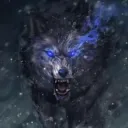 lobo_27