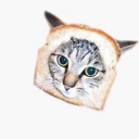 avatar Zinnia (ﾉ◕ヮ◕)ﾉ*.✧