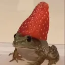 sorute5234