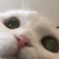 nobodyaskme