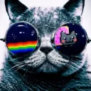 xexnyan