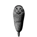 salaho_0