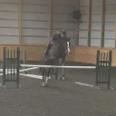daretodream_eq