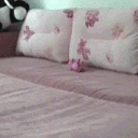 scalierr