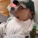 avatar شباب الشواء