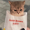 avatar hashbrown2