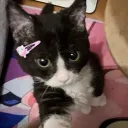 moonivyy_