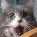 kiratetsu