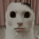 whatdoyouwanttt1