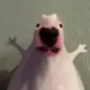 _luigi123 avatar