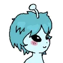 numero_euler avatar