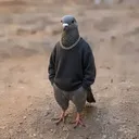 ydaxr