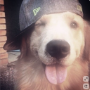 avatar 𝔪𝔳𝔨𝔞