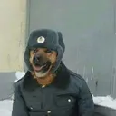 snailman12