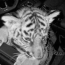 avatar n1wzusssssss2