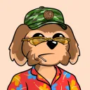 gwhiztrades