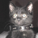 avatar stitch der vampir