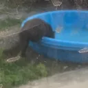 catwithsoup