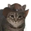 sircat07