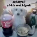 bbysn