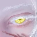 .voidren
