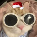 snoodle_soup avatar
